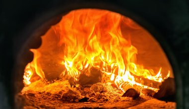 Тело ребенка в печи сожгла мать в Акмолинской области