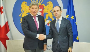 Казахстанского нефтяника назначили советником вице-премьера Грузии