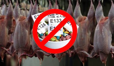 Вводить пищевые добавки в мясо птицы запретили в Казахстане