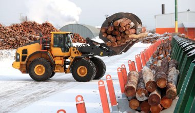 Лесопромышленники России жалуются на блокировку поставок через Казахстан