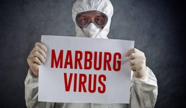 ВОЗ сообщила о вспышке вируса Марбург