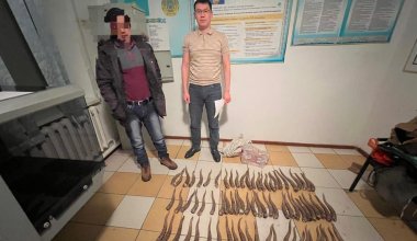 76 сайгачьих рогов изъяли у жителя Актюбинской области