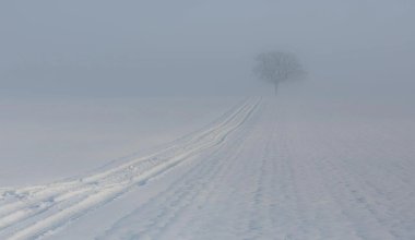 Штормовое предупреждение объявили на большей части Казахстана