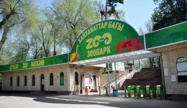 На проектно-сметную документацию одной из зон зоопарка Алматы выделили около 136 млн тенге