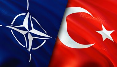 Турция не одобрит вступление Швеции в НАТО
