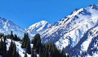 В горах Алматы сошли четыре лавины