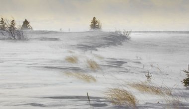 В 10 регионах Казахстана объявили штормовое предупреждение