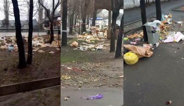 «Нагло бросили и ушли»: на оставленный продавцами цветов мусор жалуются в Алматы
