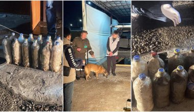 Иностранец пытался провезти в Казахстан 14 кг наркотиков