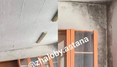 "Астма обеспечена": в астанинской гимназии стены покрылись плесенью