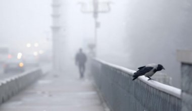 На большей части Казахстана ожидается усиление ветра, заморозки и туман