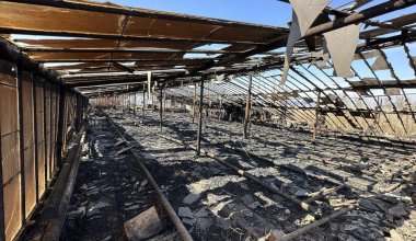Пожар на побережье Каспия тушат третьи сутки