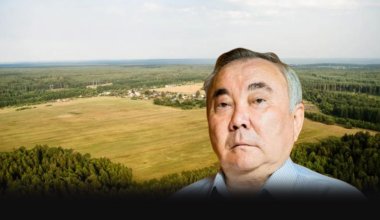 Экс-аким в Алматинской области незаконно продавал земли Болату Назарбаеву