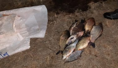 Сельчанина наказали за ловлю рыбы в Павлодарской области