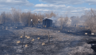 В Павлодаре сгорели более 100 дачных участков