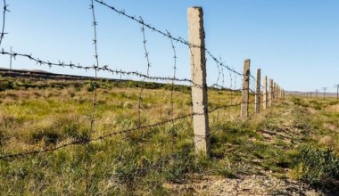 Граждане Пакистана незаконно пересекли границу Казахстана — КНБ