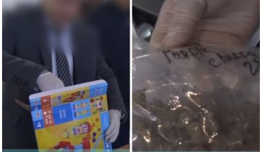 Наркотики под видом детских игрушек отправили в Алматы из США