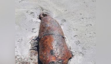 На побережье Каспия снова обнаружили погибших тюленей