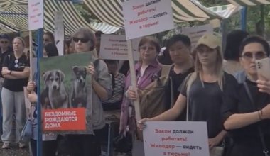 Живодёрам – тюрьма. Митинг в защиту животных проходит в Алматы