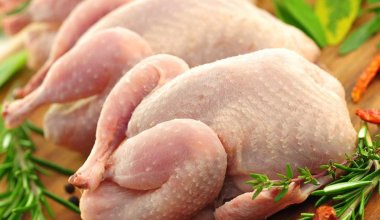 В Казахстане производство мяса птицы достигло исторического максимума
