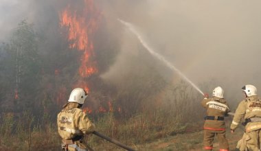 В Абайской области разгорелся крупный пожар