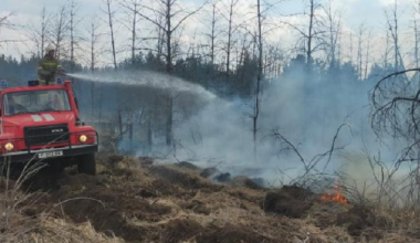 Пожар в области Абай: на месте ЧП могут появиться мародеры