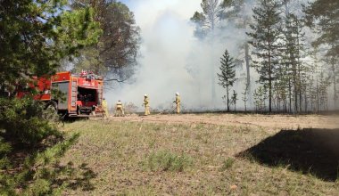Лесной пожар в Абайской области: в одном из районов будет объявлен режим ЧС