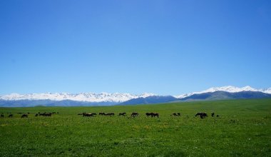 МИД прокомментировал объявления о продаже казахстанских земель Китаю