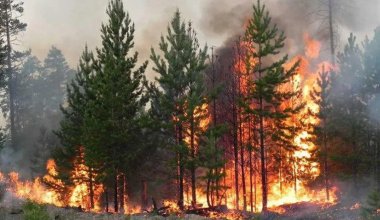 Пожарная опасность сохраняется в 14 регионах Казахстана