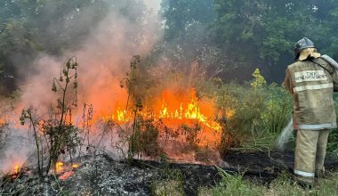 Четыре вертолета тушат пожар на территории «Семей орманы»