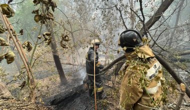 Связь с 14 лесничими потеряли во время тушения пожара в Абайской области