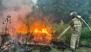 В минэкологии назвали предварительную причину крупного пожара в Абайской области