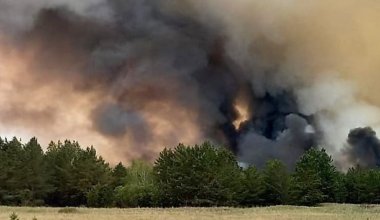 Площадь пожара в Абайской области превысила 60 000 гектаров