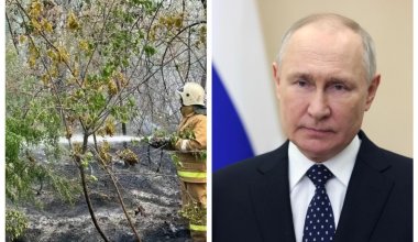 Путин высказался о пожарах в области Абай