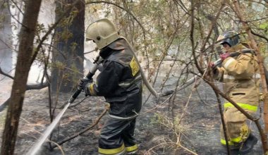 Поджог рассматривают в качестве причины лесного пожара в Абае