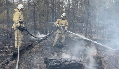 Огонь направлялся в сторону Семея - МЧС о тушении пожара в Абайской области