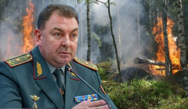 Накажут ли экс-главу МЧС Ильина за пожары в Абайской области, ответил министр