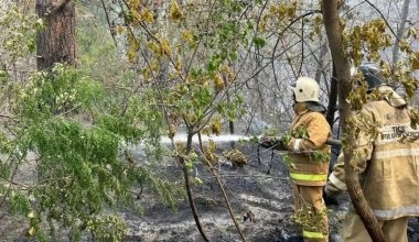 В каких регионах Казахстана сохраняется пожарная опасность