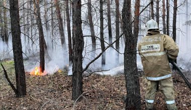Можно было избежать жертв: Ашимбаев раскритиковал систему пожаротушения