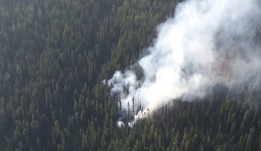 Пожар в заповеднике в ВКО: озвучены новые данные