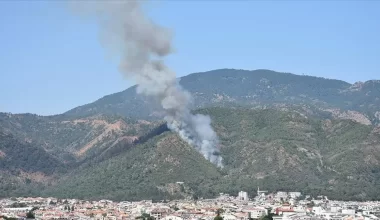 В Турции начался лесной пожар