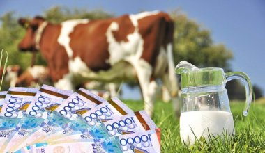 Деньги на ветер, или Почему в Казахстане своя «молочка» не по вкусу
