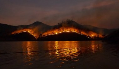 Более 10 000 га выгорело в ходе пожара на Балхаше