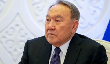 Назарбаева лишили статуса главы попечительства совета вуза, школы и фонда его имени