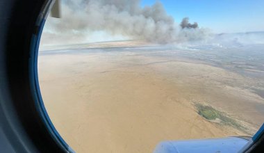 До 20 гектаров снизили площадь пожара в Атырауской области