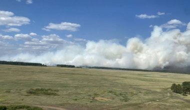 Огонь может перекинуться в Россию: в Павлодарской области возник лесной пожар