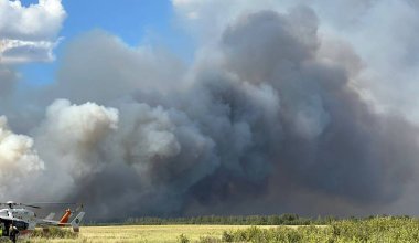 Площадь лесного пожара в Павлодарской области увеличилась