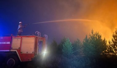 Площадь лесного пожара в Павлодарской области снова увеличилась