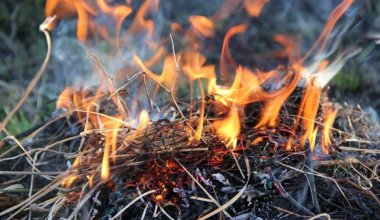 5 пожаров и 5 загораний сухостоя произошло в области Абай за сутки