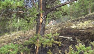 В Бурабае разгорелся лесной пожар